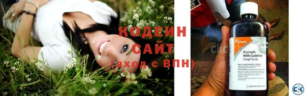 стаф Абаза