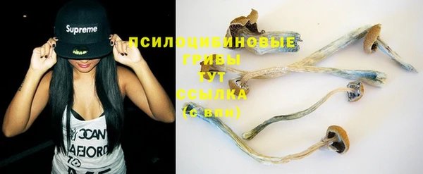 стаф Абаза