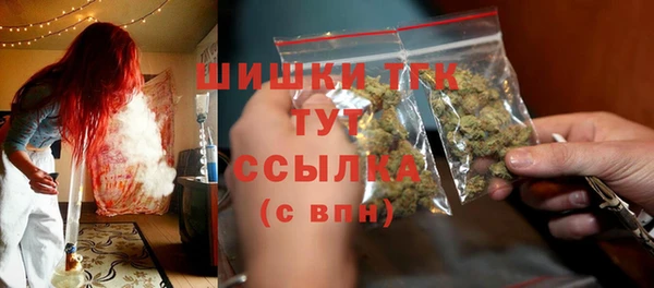 стаф Абаза