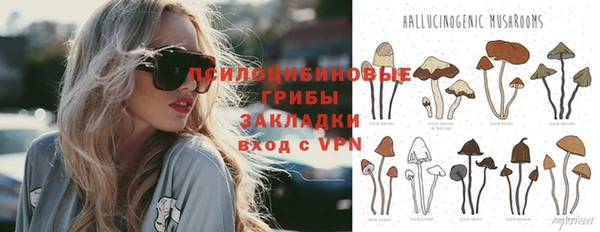 стаф Абаза